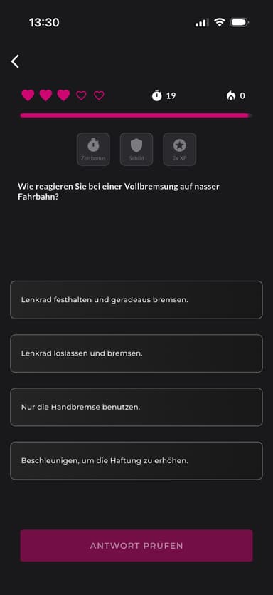 Steinbrecher Lern-App Screenshot 3